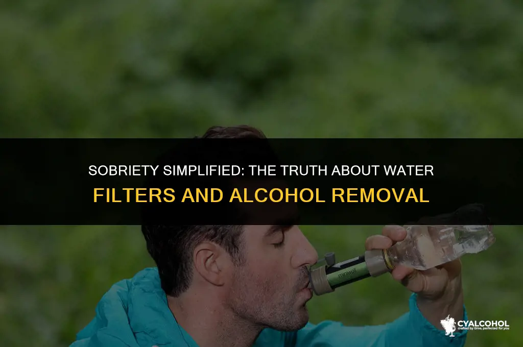 do water filters remove alcohol