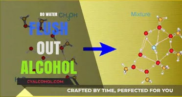 Does Water Really Flush Out Alcohol? The Truth Behind the Myth