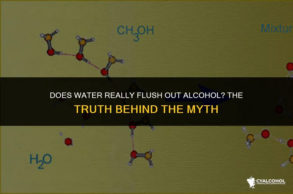 do water flush out alcohol