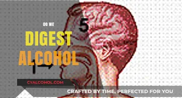 How Our Bodies Digest Alcohol: The Science Behind Metabolism
