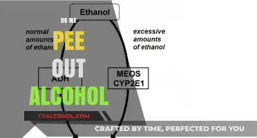 The Truth About Alcohol Metabolism: Do We Really Pee It Out?
