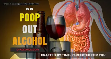 The Surprising Truth About Alcohol and Your Digestive System