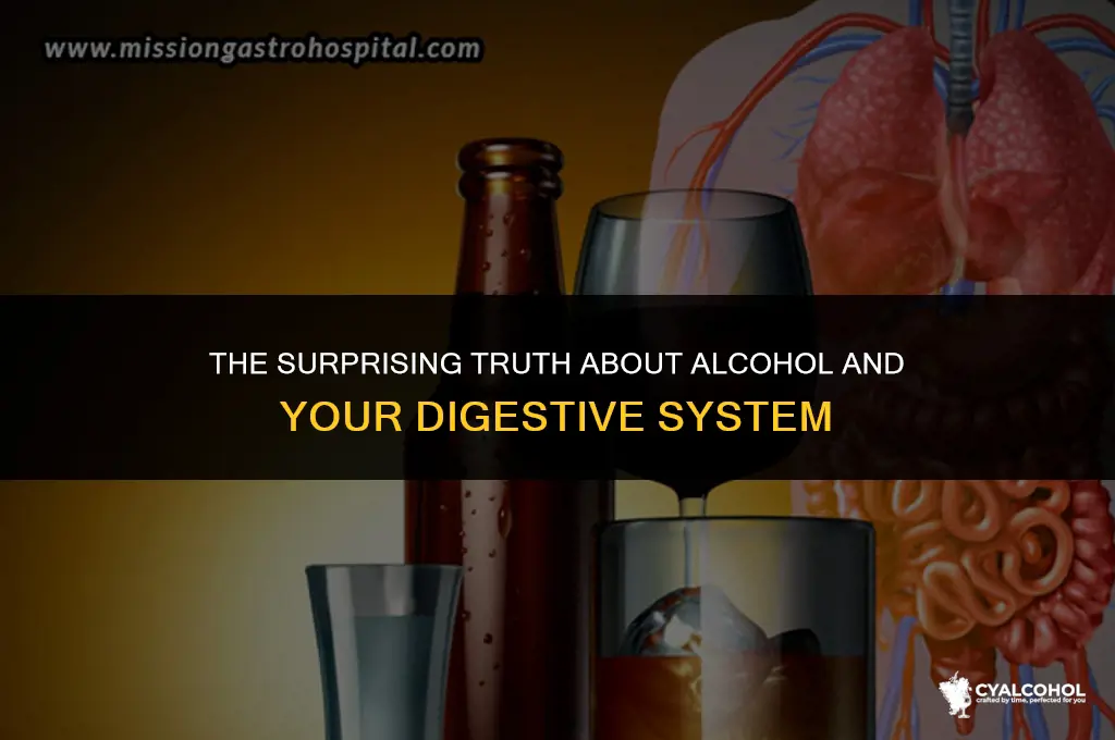 do we poop out alcohol