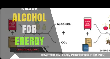 Can Yeast Burn Alcohol for Energy? Unraveling the Metabolic Mystery
