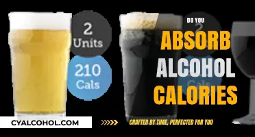 Understanding Alcohol Calories: Do They Count in Your Diet?