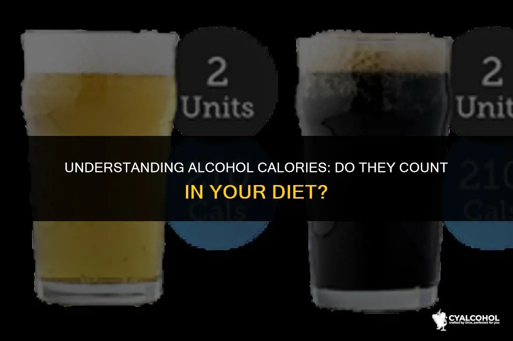 do you absorb alcohol calories