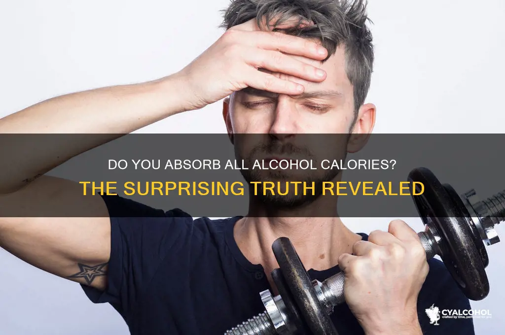 do you absorb all alcohol calories
