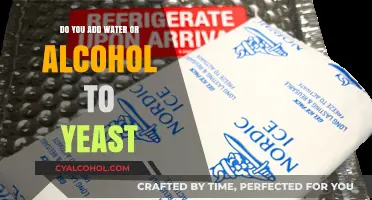Water vs. Alcohol: Which Liquid Activates Yeast Best?