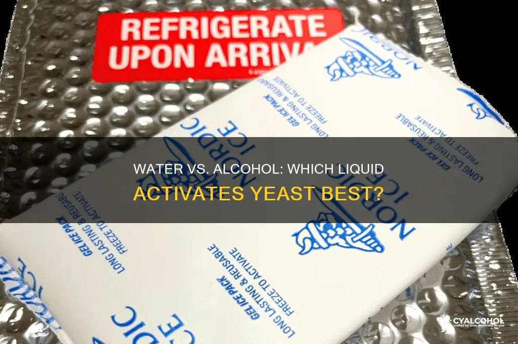 do you add water or alcohol to yeast