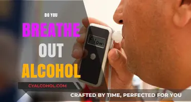 Do You Breathe Out Alcohol? Understanding the Science Behind It
