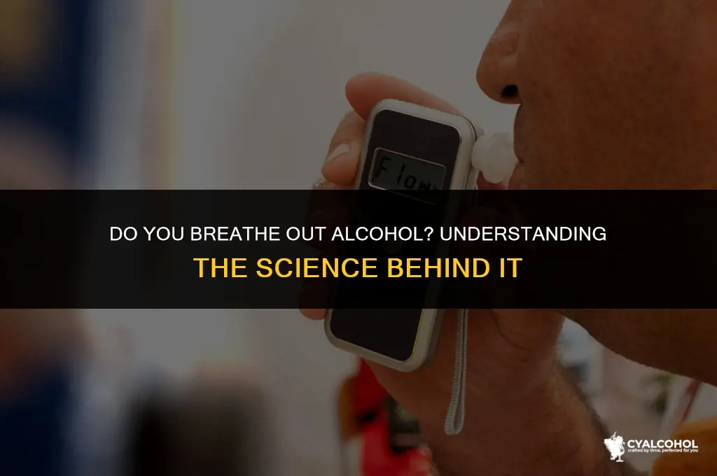 do you breathe out alcohol