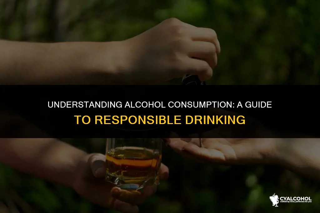 do you consume alcohol meaning