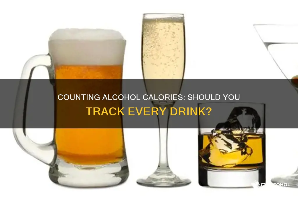 do you count all alcohol calories