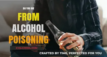 Alcohol Poisoning: Understanding the Deadly Risks and Prevention Measures