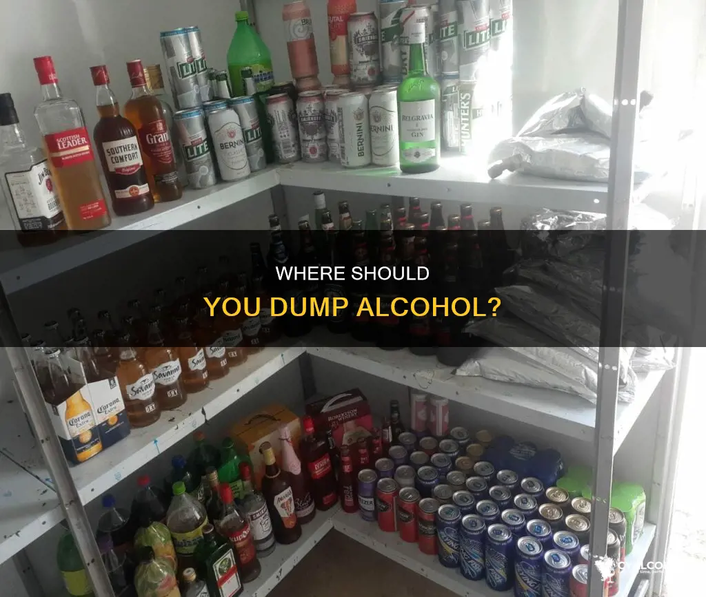 do you dump alcohol in the sink or toilet