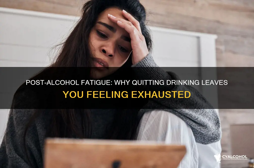 do you feel tired after giving up alcohol