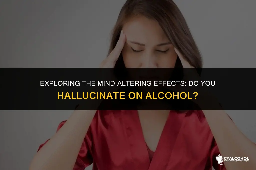 do you hallucinate on alcohol