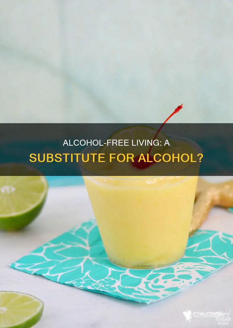 do you have a sufficient substitute for alcohol bug book