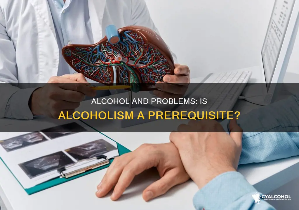 do you have to be an alcoholic to experience problems