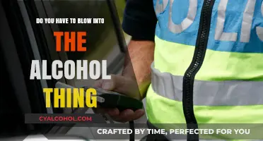 How Does a Breathalyzer Work?