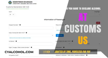 Customs and Alcohol: What You Need to Declare