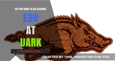Alcohol Edu: UArk's Mandatory Course?