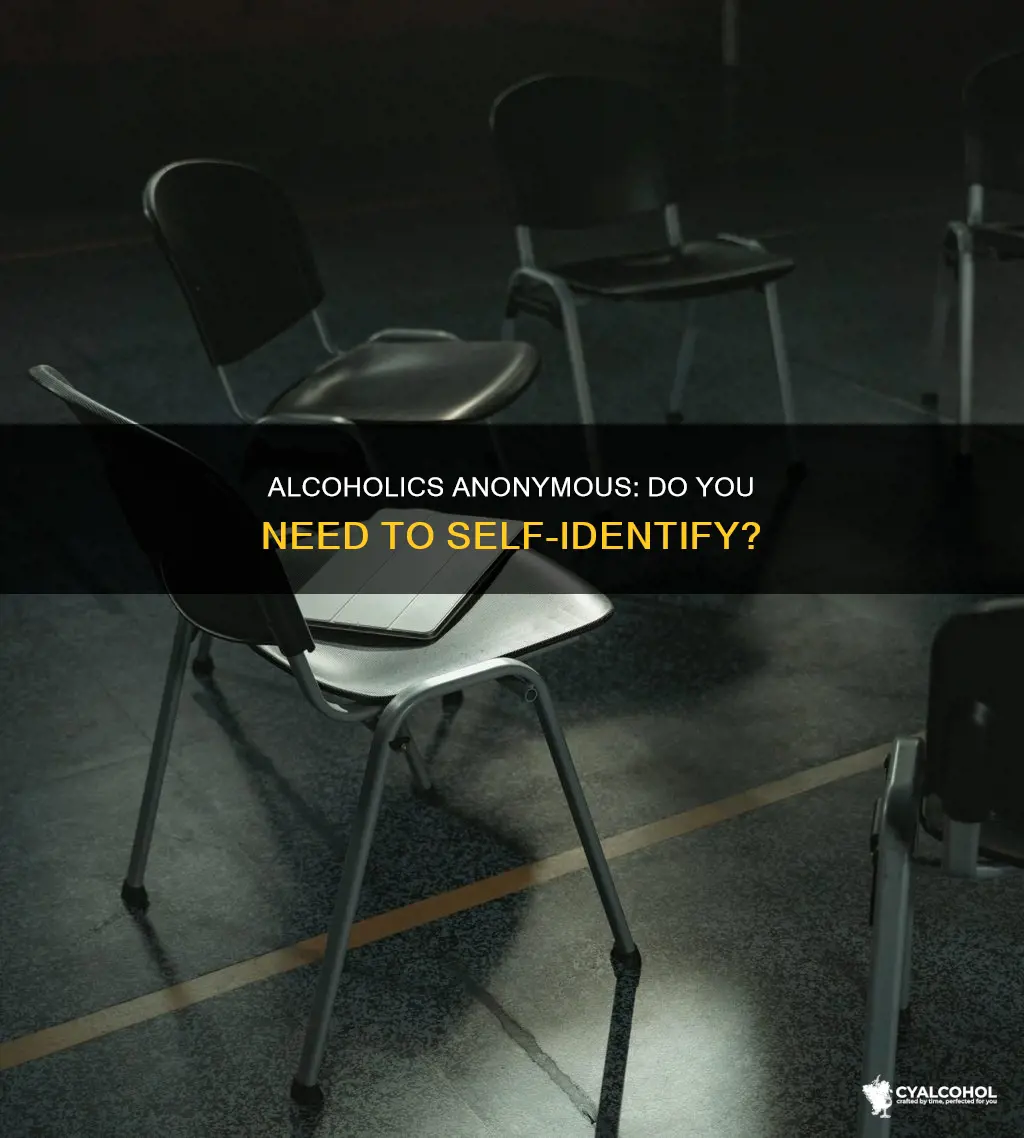 do you have to say you
