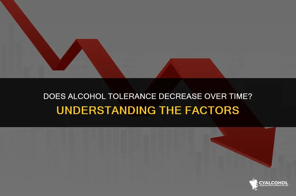 do you lose alcohol tolerance