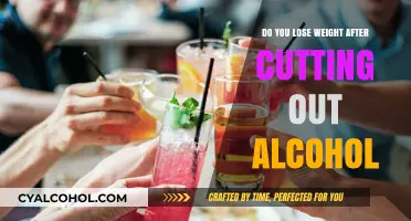 Sober and Slimmer: How Quitting Alcohol Impacts Weight Loss