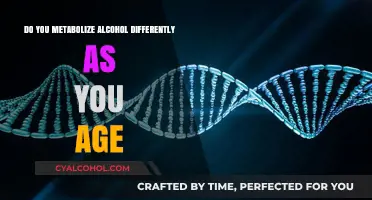 Aging and Alcohol Metabolism: How Your Body Changes Over Time