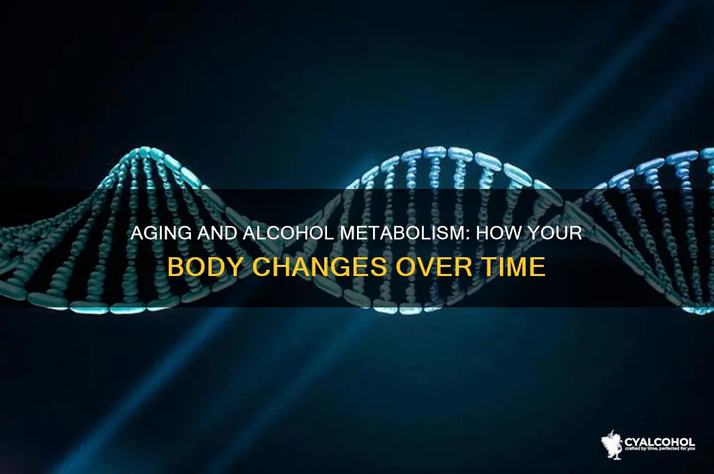 do you metabolize alcohol differently as you age