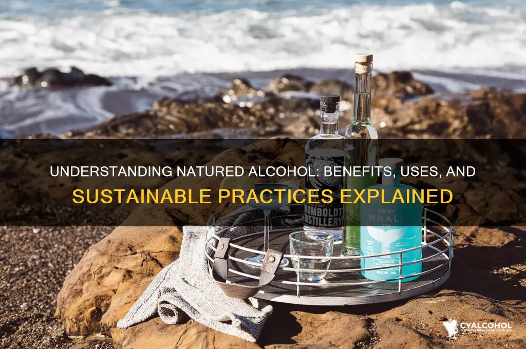 do you natured alcohol