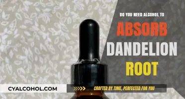 Dandelion Root Absorption: Does Alcohol Enhance Its Benefits?