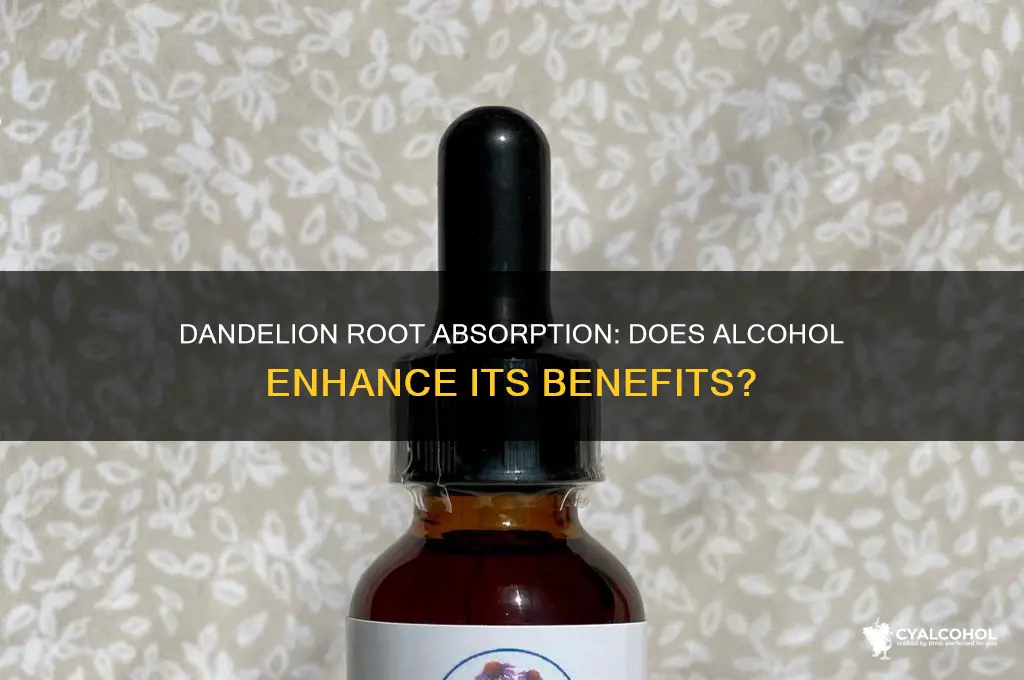 do you need alcohol to absorb dandelion root