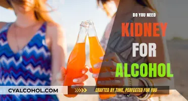 Do You Need a Kidney for Alcohol? Debunking the Myth