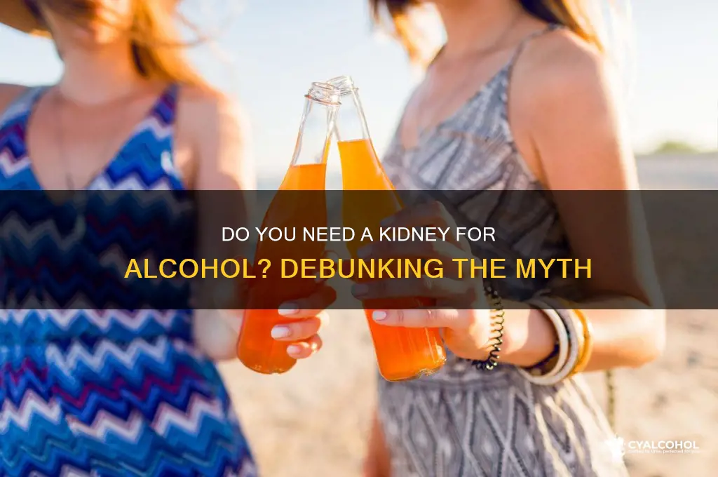 do you need kidney for alcohol