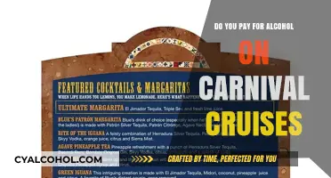 Carnival Cruises Alcohol Costs: What to Expect and How to Budget