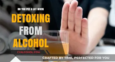 Detoxing from Alcohol: Why You Pee a Lot