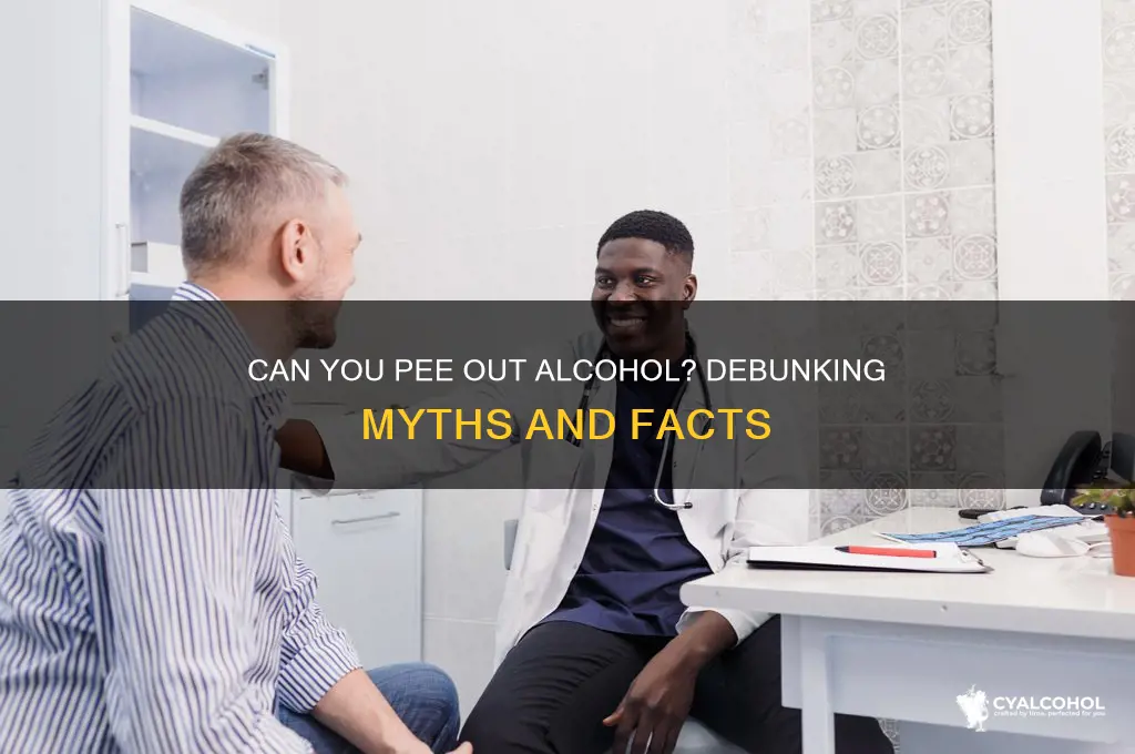 do you pee alcohol