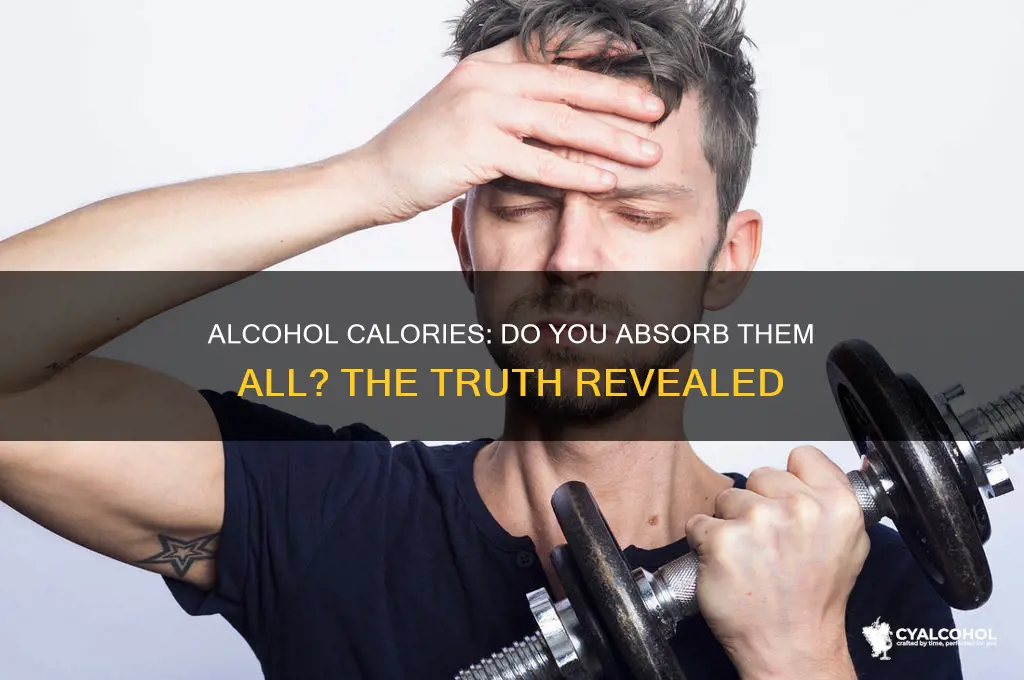 do you retain all the calories from alcohol