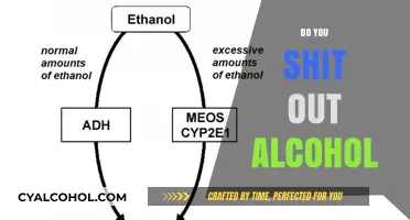 The Surprising Truth About Alcohol Metabolism: What Happens Inside?