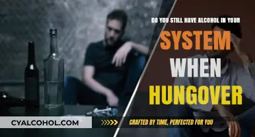 Hangover Mystery: Alcohol Still in Your System?