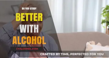 Does Alcohol Enhance Focus? Exploring the Study-Drinking Debate