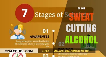 Sobriety and Sweat: Unraveling the Link Between Alcohol and Perspiration
