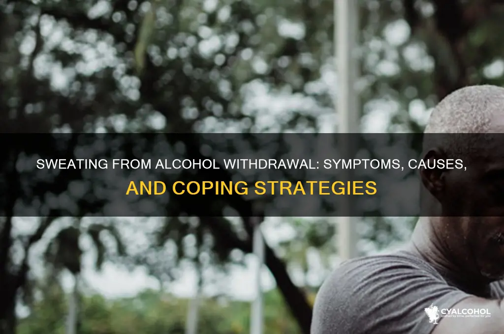 do you sweat from alcohol withdrawal