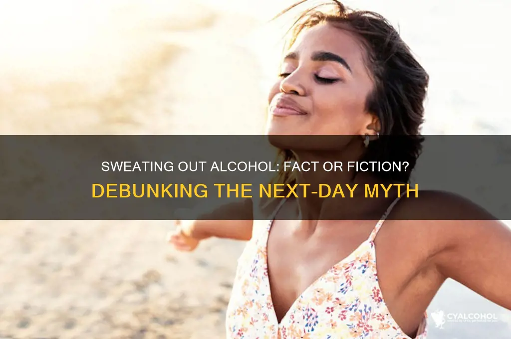 do you sweat out alcohol the next day