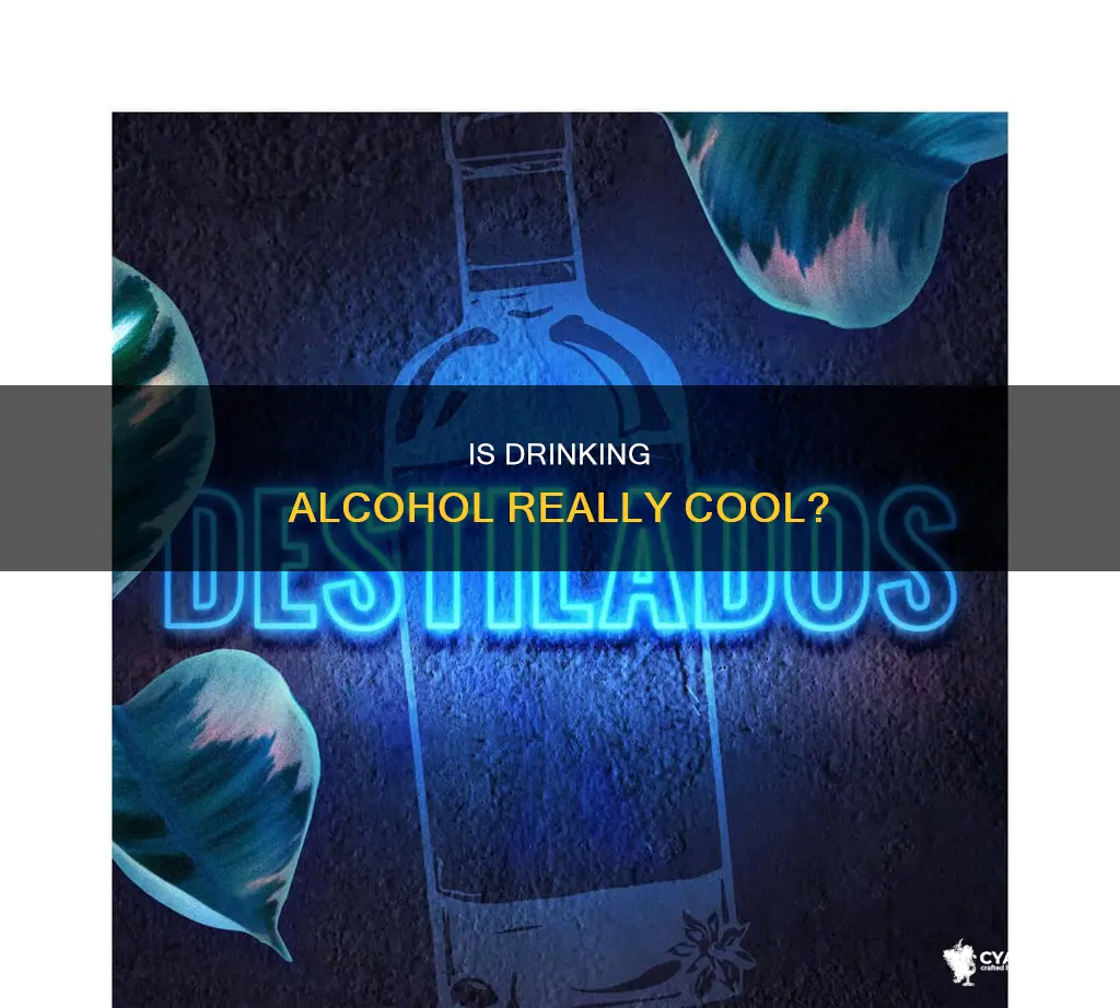 do you think that doing alcohol is cool koozie