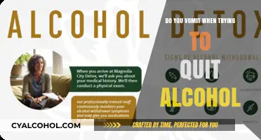 Quitting Alcohol: Understanding Nausea and Vomiting During Detox