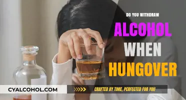 Should You Drink Alcohol to Cure a Hangover? The Truth