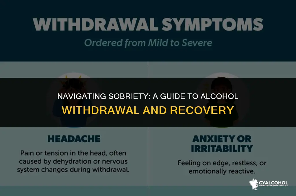 do you withdraw from alcohol